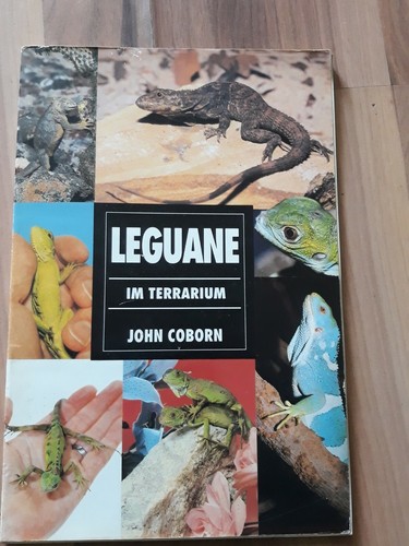 Buch der leguane terrarium - der,