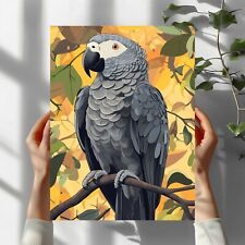 Graupapagei Vogel Premium