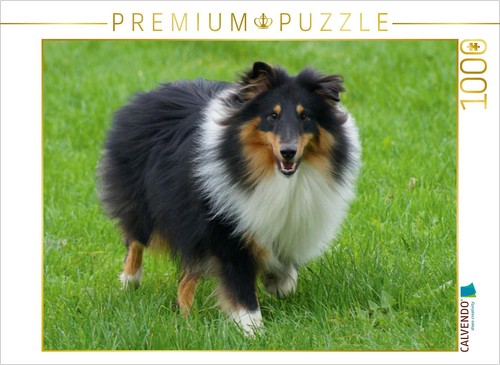 Calvendo puzzle langhaar - calvendo,