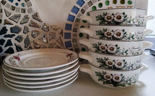 Villeroy und boch botanica - und,