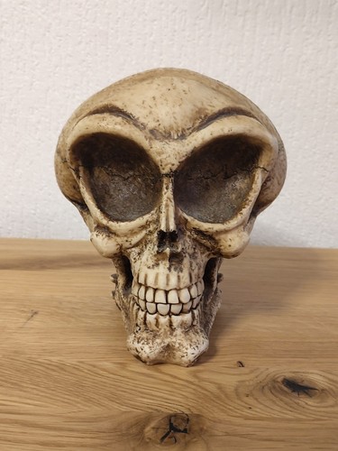 Totenkopf schädel als - totenkopf,