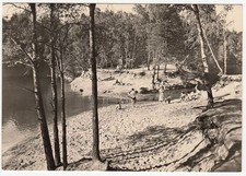 AK Dübener Heide Friedrichsee