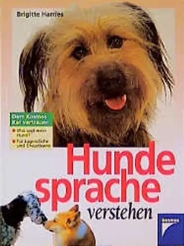 Hundesprache verstehen