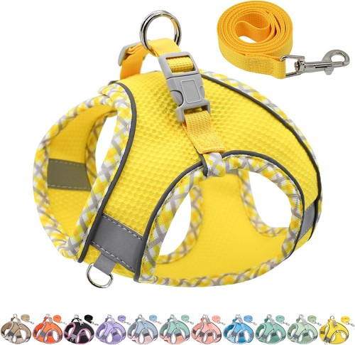 Hundegeschirr und leinen set - hundegeschirr,