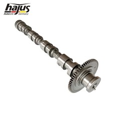 Hajus Nockenwelle Auslass