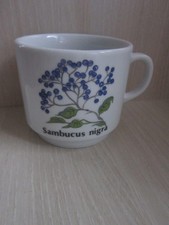 Seltmann Weiden Bavaria, Teetasse, Kaffeetasse, Sammeltasse, Sambucus nigra