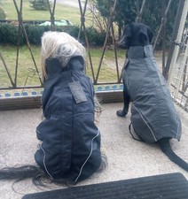 Ware hunde regenjacke - hunde,