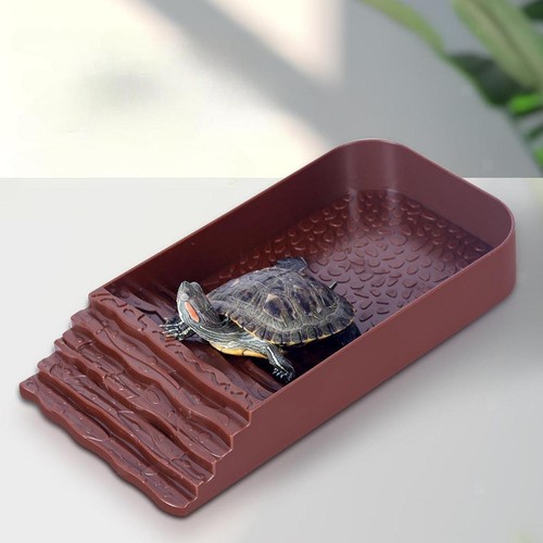 Schildkröten-Futternapf