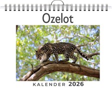 Ozelot Julia Schmidt Kalender