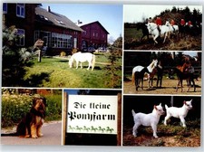 50963272 - 2225 Schafstedt Die