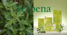 Herbolario lodi verbena - l'herbolario, di