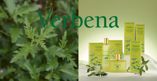 Herbolario lodi verbena - lodi,