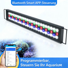 Neu aquarium beleuchtung - |aquarium,