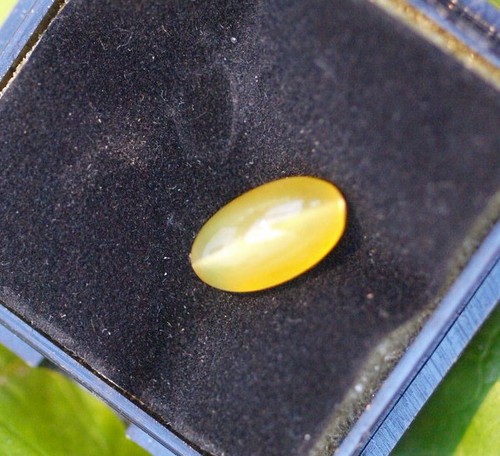 Opal edelopal katzenauge - 1,