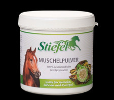 Stiefel Muschelpulver gemahlen