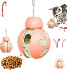 Interaktives Katzenspielzeug