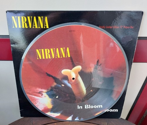 Nirvana bloom picture - nirvana, 12"