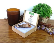 100 % echter großer