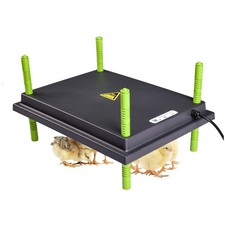 Wärmeplatte für Küken