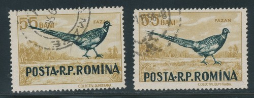 Rumänien 1956 jagdbare tiere - rumÄnien,