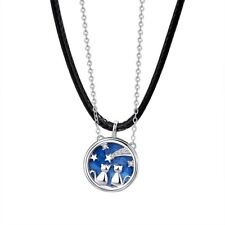 Katzen Paarketten Paar zwei