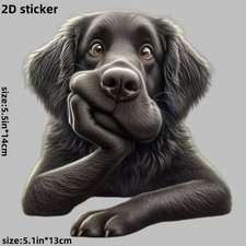 Kreative Hundemotiv Auto