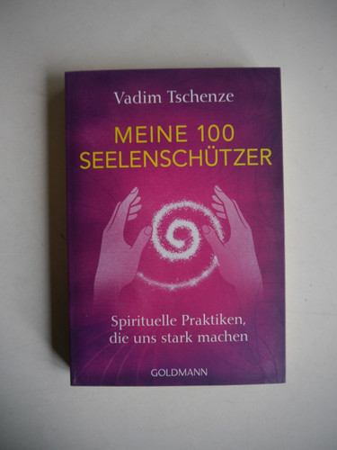 Meine 100 seelenschützer - 100,