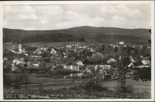 Hals tachau bei - bei,