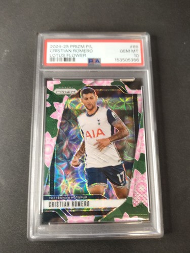 Panini prizm 2024 - prizm, 2024-25
