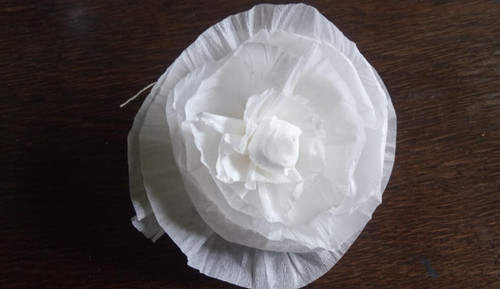 Große krepprosen 10 cm - 28,