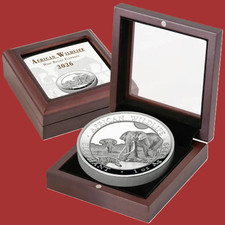 2026 Somalia 100 Shillings