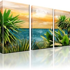 Meer insel palmen horizont - meer,
