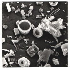 Fotografie verschiedene