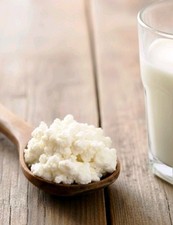 Bio Aktive Kefir Knollen Kefir