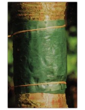 BAUMLEIMRING BAUMSCHUTZRING