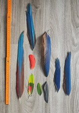 9 x bunte 💙💛💚❤️