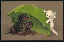 Dackel unter Regenschirm und weisse Katze, Ansichtskarte 
