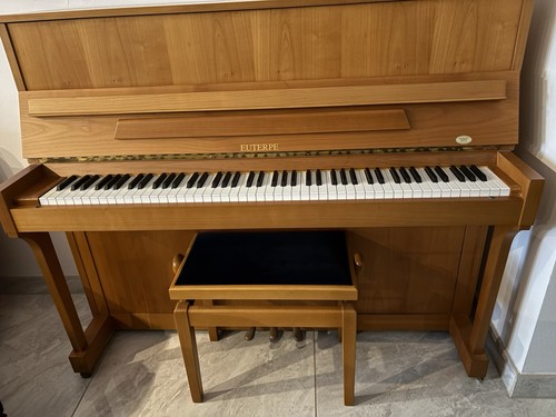 Klavier euterpe 120 voll - e-120, –