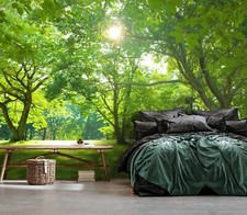 Fototapete Wald Sonne Grün 3D