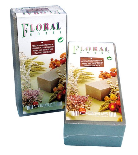 Trocken blumensteckschaum - trocken,