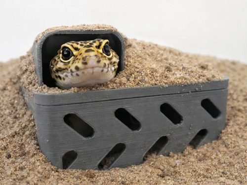 Burrow buddy versteck - buddy:,