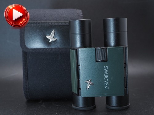 Jahr garantie swarovski - us, 1