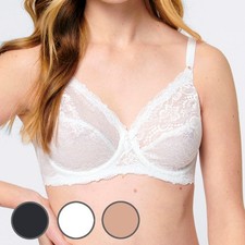 Triumph Compliment W