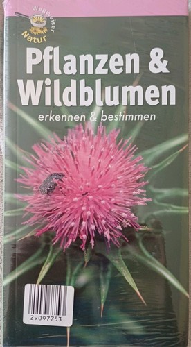 Pflanzen wildblumen erkennen - pflanzen,