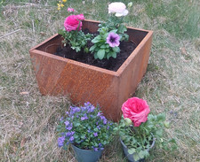 Edelrost Pflanzgefäß