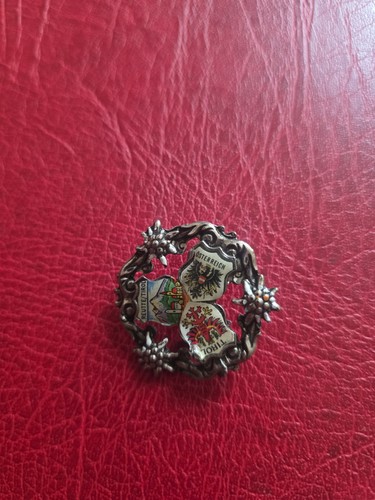 Alte anstecknadel - ,