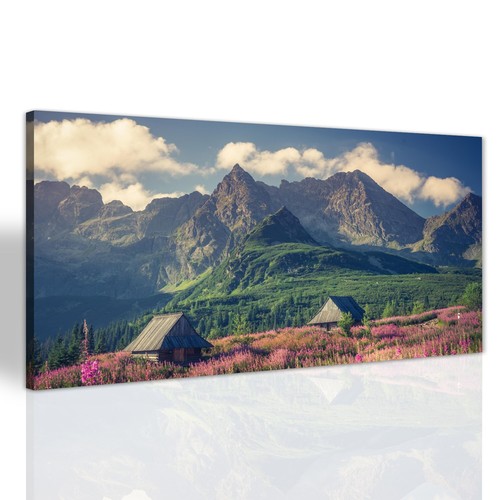Blumen berg natur wohnzimmer - blumen,
