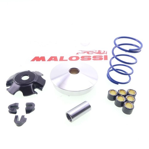 Variomatik malossi multivar - malossi,
