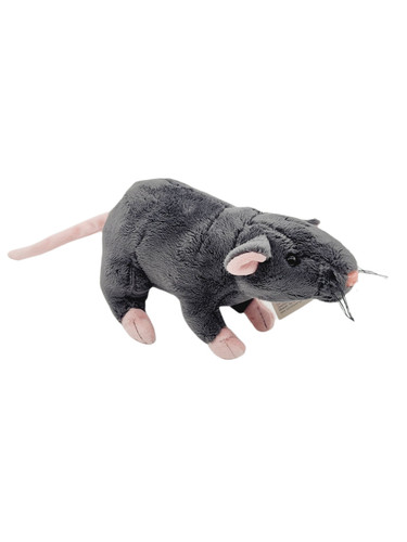 Ratte weiss und - , schwarz