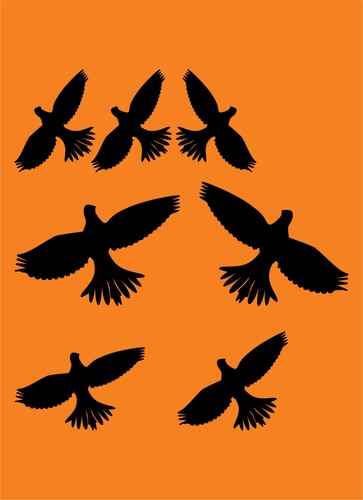Aufkleber vogel 7er set - 7er, vögel